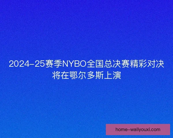 2024-25赛季NYBO全国总决赛精彩对决将在鄂尔多斯上演