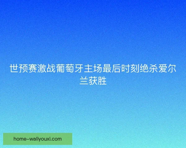 世预赛激战葡萄牙主场最后时刻绝杀爱尔兰获胜